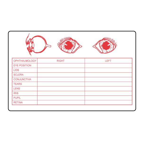Nevs Eye Exam Label 2-1/2" x 4" White w/Red VW-0064 - main